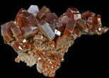 Large, Ruby Red Vanadinite Crystal Cluster - Morocco #42199-2